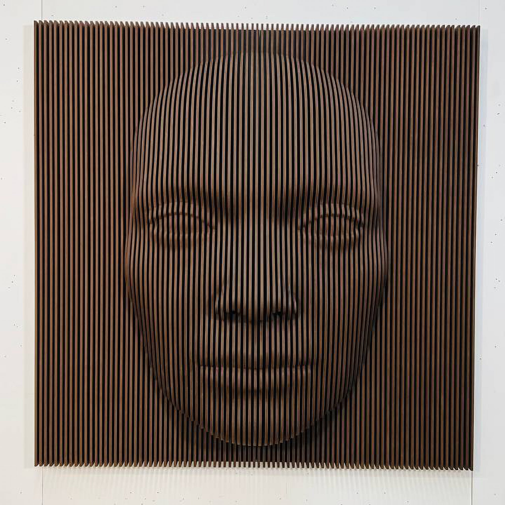 3D Parametric Human Face Wall Sculpture (1/4"Thick)  3D Wall Art.