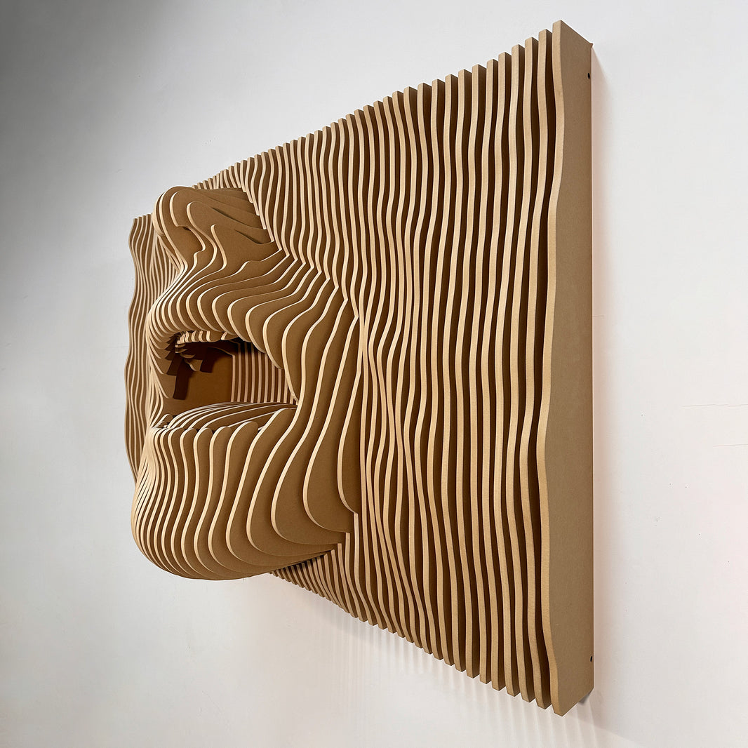 3D Parametric Wall, Abstract 3d Wall art, Parametric shelves