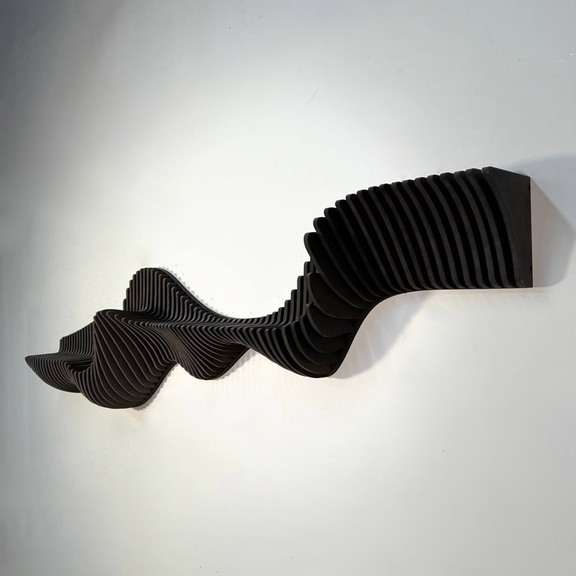 large Parametric Shelf, Custom Made Floating Shelf  3D Wall Art.