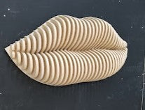 3D  lip Parametric, Parametric 3D Wall Decor  3D Wall Art.